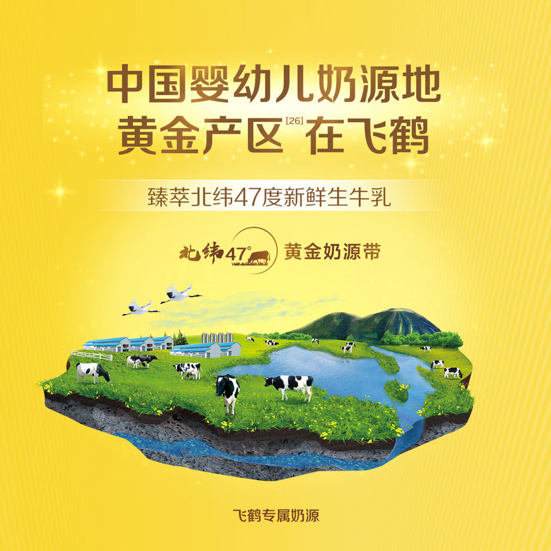 飞鹤 星飞帆婴儿配方奶 2段（6-12个月）900g*新包装*不支持异地积分扫红包