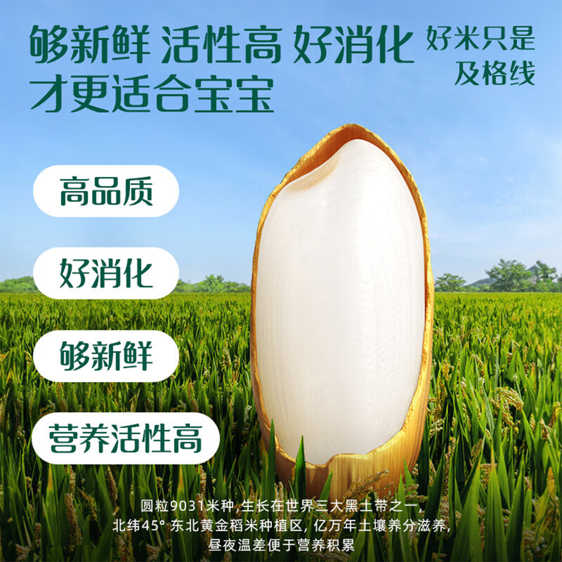 英氏( Enoulite) 婴幼儿加锌米粉 牛肉西兰花玉米 3阶 180g